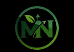 Mir Noman