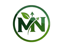 Mir Noman